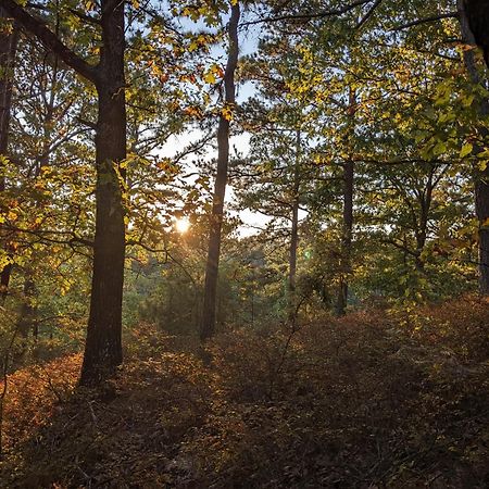 Loblolly Pines Adventure Cabin 4 King Юрека Спрингс Екстериор снимка